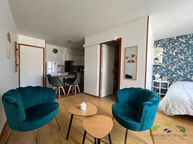 Appartement 1 pièce, 28 m² à louer à Saint Léonard de Noblat 87400