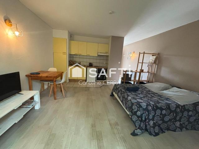 Appartement 1 pièce 29 m²