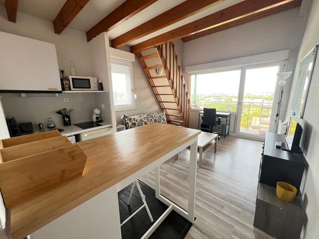 Appartement 1 pièce 29 m²