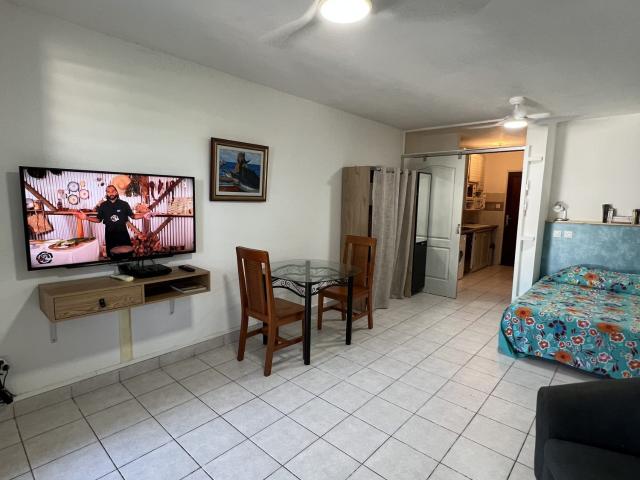 Appartement 1 pièce 29 m²