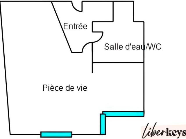Appartement 1 pièce 29 m²
