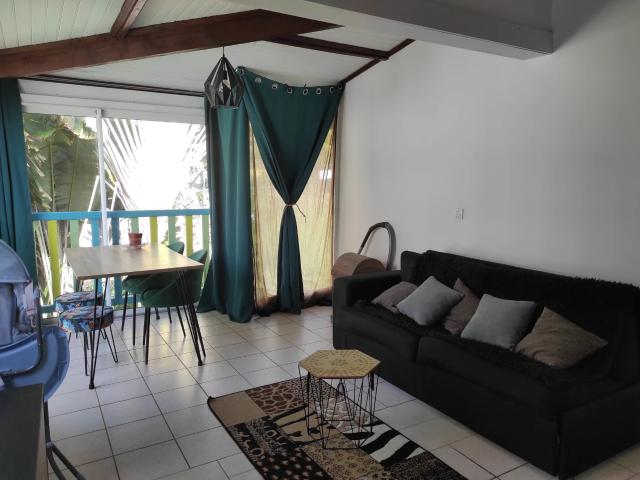 Appartement 1 pièce 29 m²