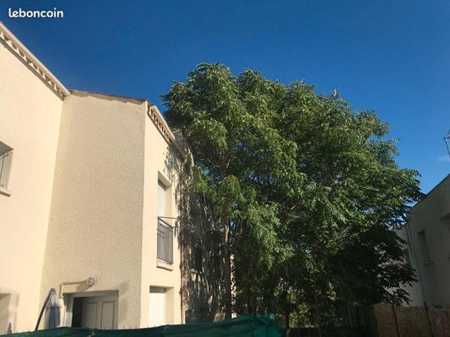 Appartement 1 pièce 29 m²