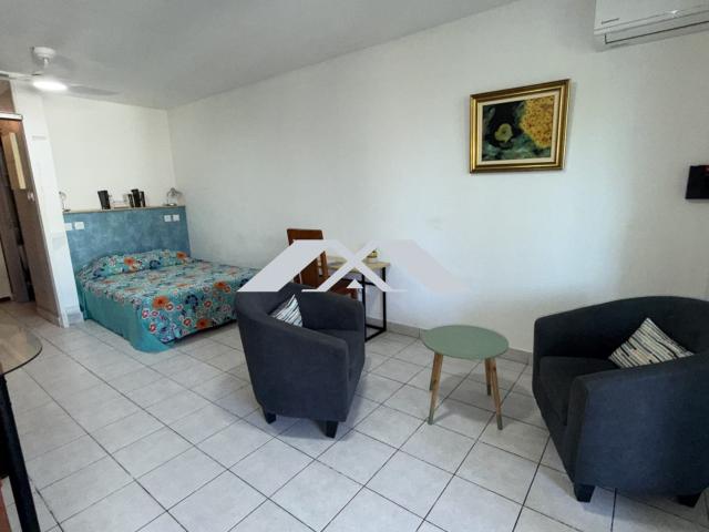 Appartement 1 pièce 29 m²