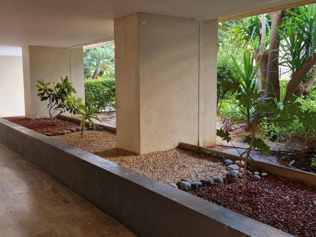 Appartement 1 pièce, 29 m² à louer à Cannes 06400