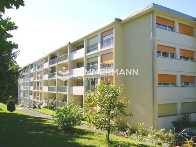 Appartement 1 Pièce, 29 m² Rte du Grand Lancy 1212 Grand Lancy
