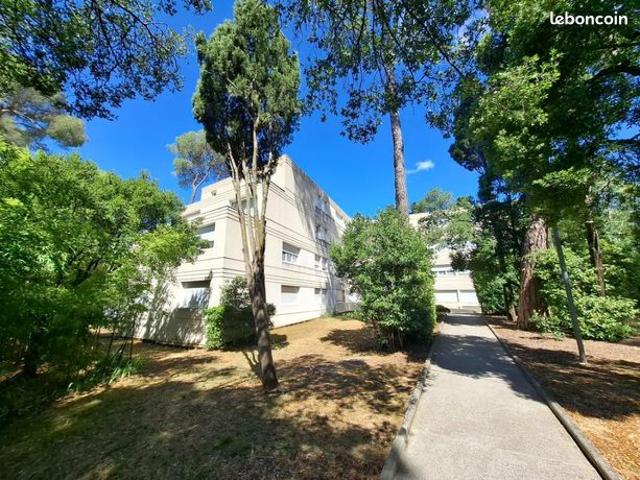 Appartement 1 pièce 20 m²