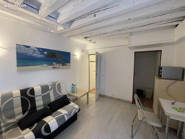 Appartement 1 pièce 20 m²