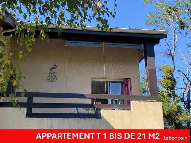 Appartement 1 pièce 20 m²