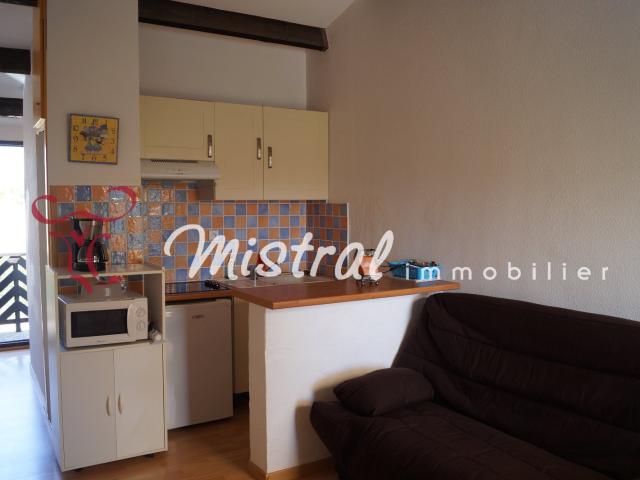 Appartement 1 pièce 20 m²