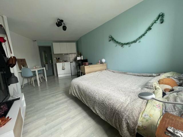 Appartement 1 pièce 20 m²
