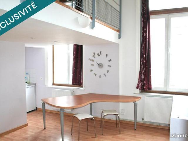 Appartement 1 pièce 20 m²