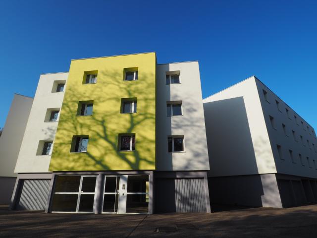 Appartement 1 pièce 20 m²