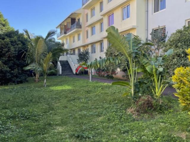 Appartement 1 pièce 20 m²