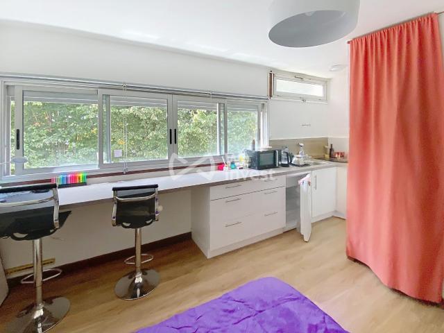 Appartement 1 pièce 20 m²
