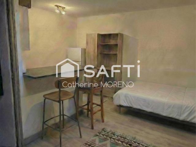 Appartement 1 pièce 20 m²