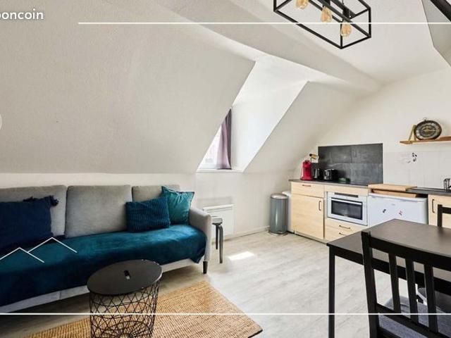 Appartement 1 pièce 20 m²