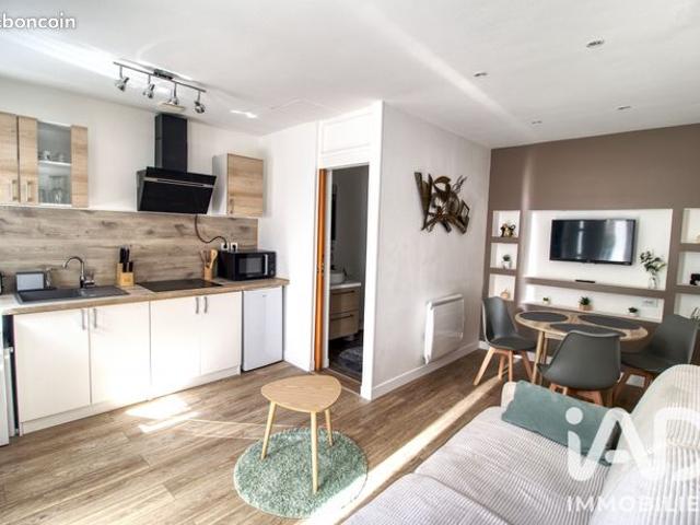 Appartement 1 pièce 20 m²