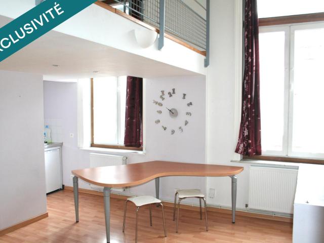 Appartement 1 pièce 20 m²