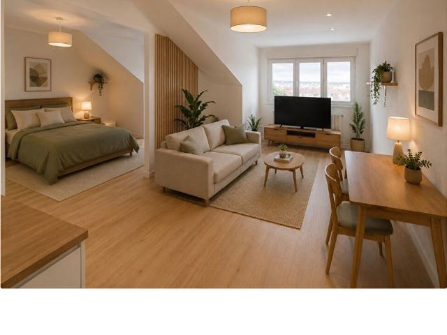 Appartement 1 pièce 20 m²