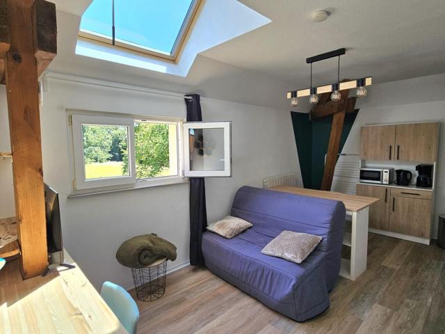 Appartement 1 pièce 20 m²