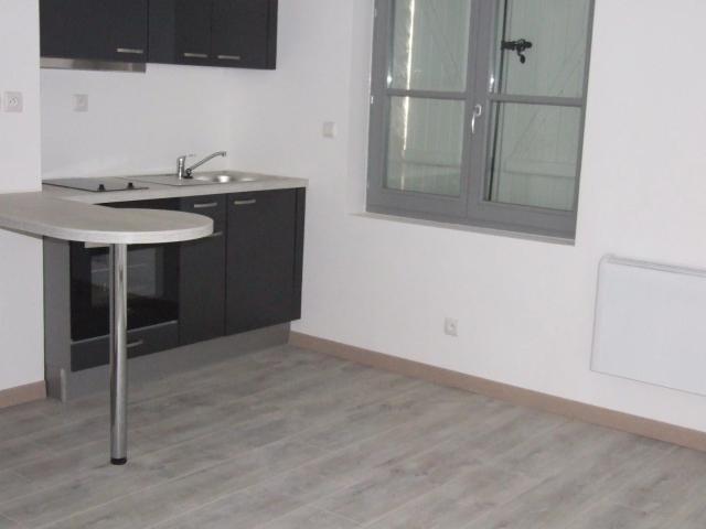 Appartement 1 pièce 20 m²