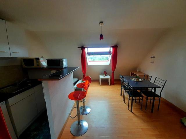 Appartement 1 pièce 20 m²