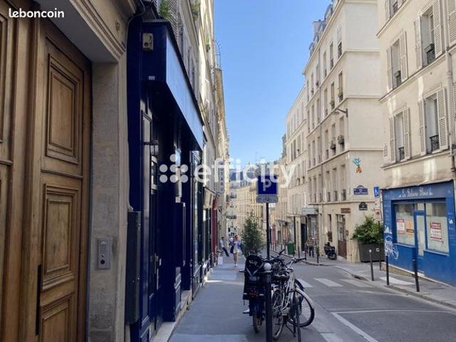 Appartement 1 pièce 20 m²