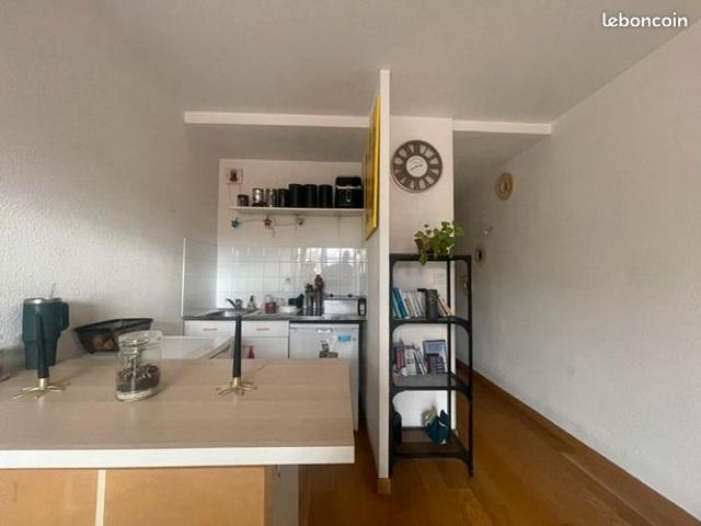 Appartement 1 pièce 20 m²