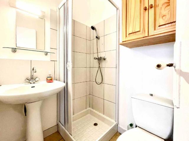 Appartement 1 pièce, 20 m² à louer à Nancy 54000
