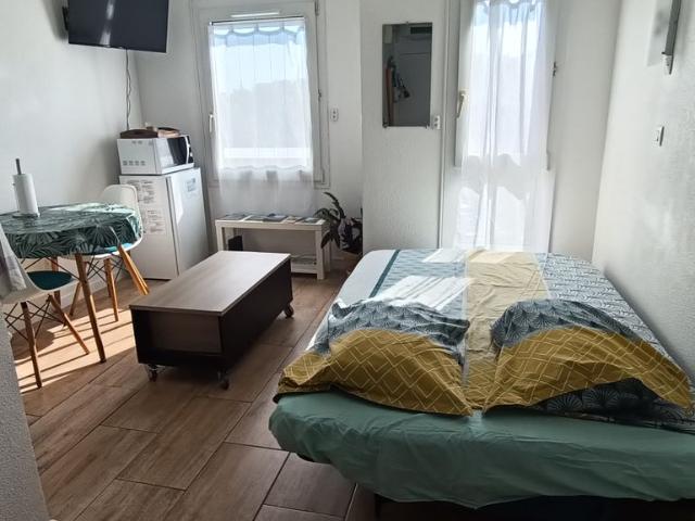 Appartement 1 pièce, 20 m² à louer à Nice 06000