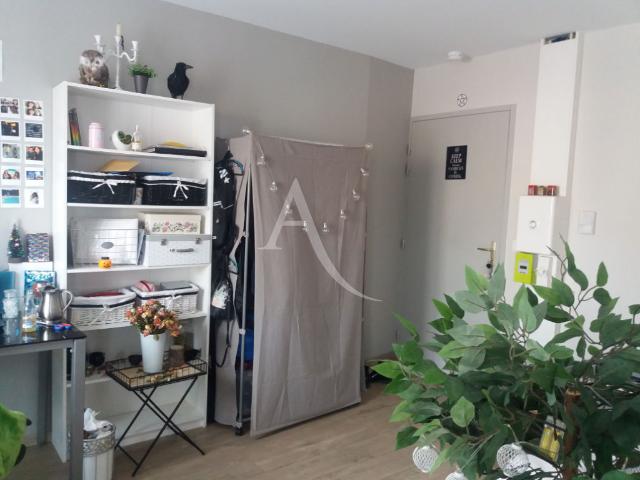 Appartement 1 pièce, 20 m² à louer à Albi 81000