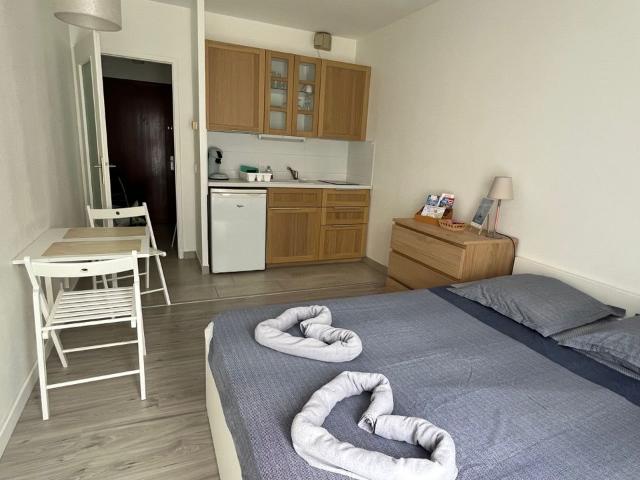 Appartement 1 pièce, 20 m² à louer à Annecy 74000