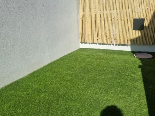Appartement 1 pièce, 20 m² à louer à Argelès sur Mer 66700
