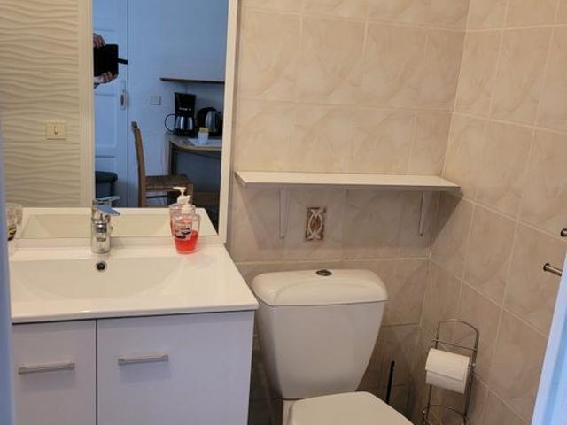 Appartement 1 pièce, 20 m² à louer à Biot 06410