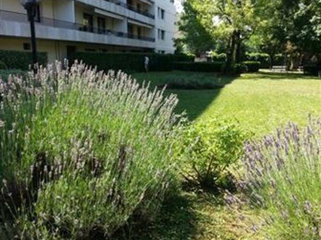 Appartement 1 pièce, 20 m² à louer à Bron 69500
