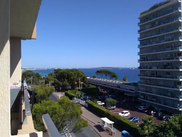 Appartement 1 pièce, 20 m² à louer à Cannes 06150