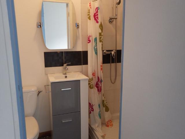 Appartement 1 pièce, 20 m² à louer à Lille 59000