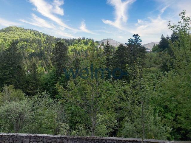 Appartement 1 pièce 20 m² Laveissière 15300