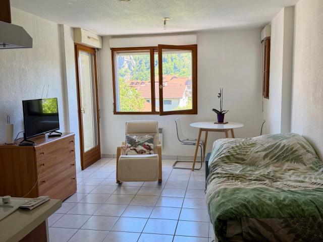 Appartement 1 pièce 2169 m2 Thones 1 pièce, 22 m²