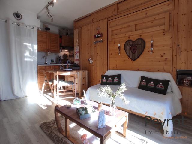 Appartement 1 pièce 21 m²