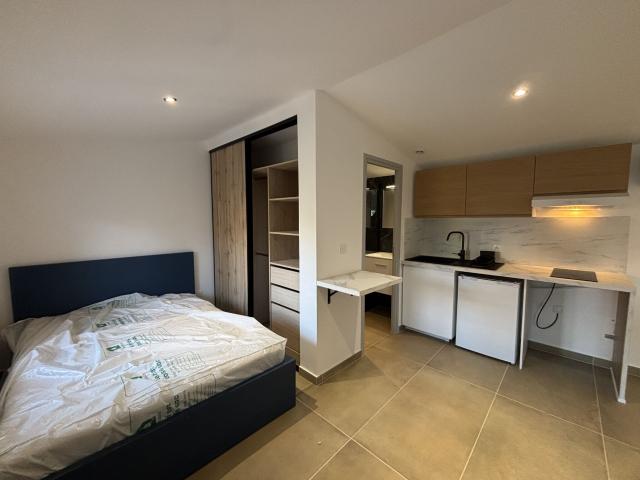 Appartement 1 pièce, 21 m² à louer à Grenoble 38000