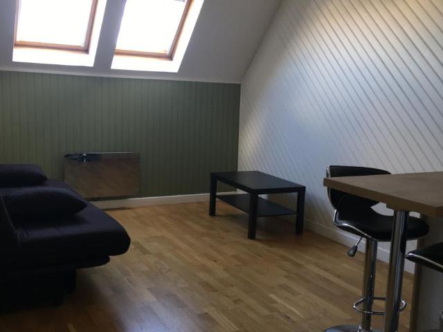 Appartement 1 pièce, 21 m² à louer à Le Mans 72000