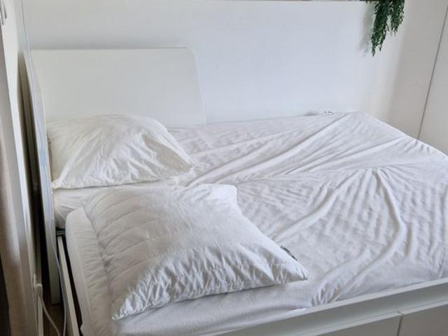 Appartement 1 pièce, 21 m² à louer à Saint Cyprien 66750