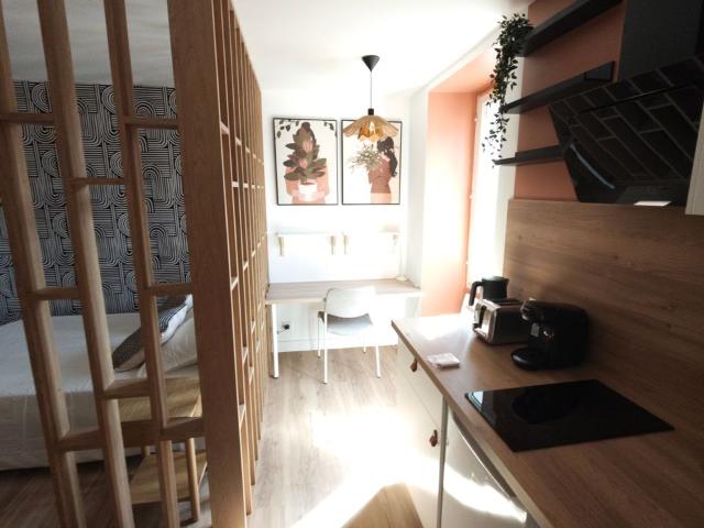 Appartement 1 pièce, 22 m² à louer à Nantes 44000