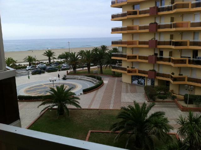 Appartement 1 pièce, 22 m² à louer à Canet en Roussillon 66140