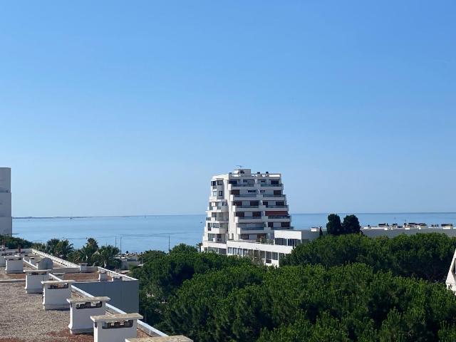 Appartement 1 pièce, 22 m² à louer à La Grande Motte 34280