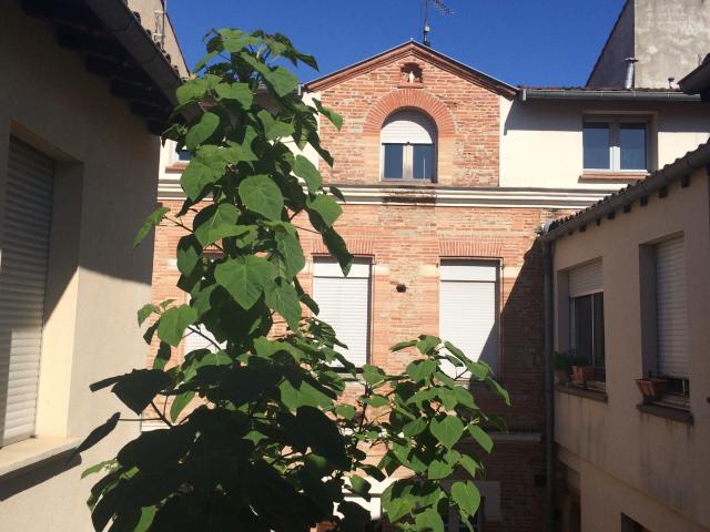 Appartement 1 pièce 23 m²
