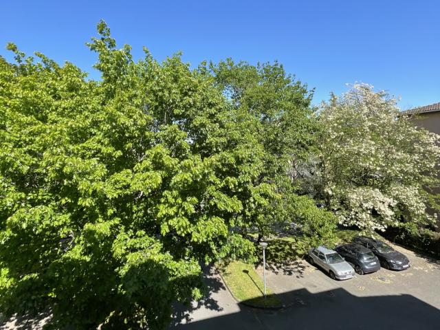 Appartement 1 pièce 23 m²