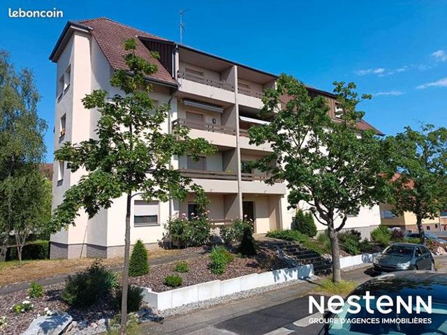 Appartement 1 pièce 34 m²